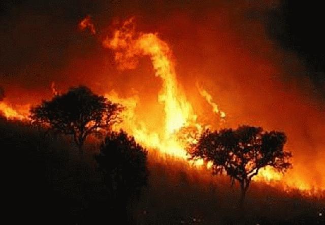 EQUIPO INCENDIOS equipo incendios: