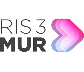 Logo Ris3mur