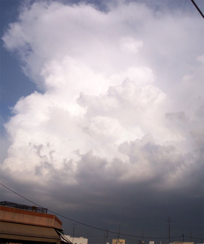 Cumulonimbus capillatus convectivo, visto casi desde su base.