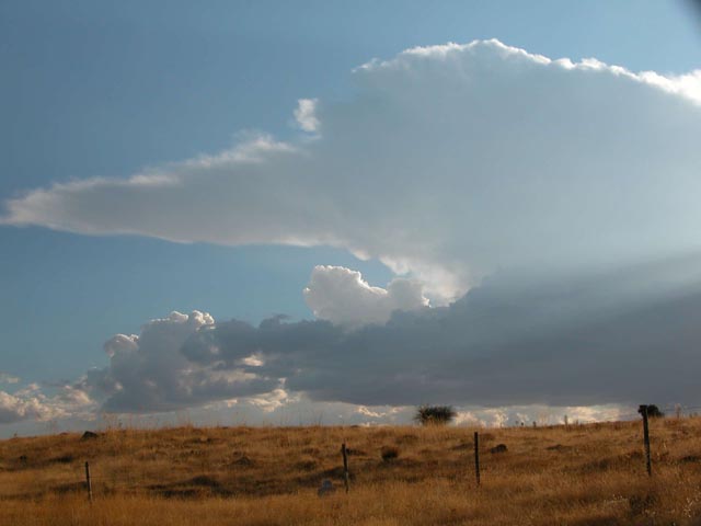 Yunque de un cumulonimbus en la zona de Tres Casas, Segovia; junto con c�mulus y stratoc�mulus.