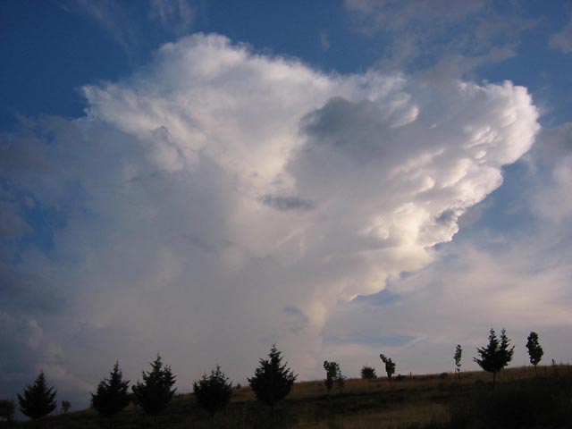 Yunque de un cumulonimbus en la zona de Tres Casas, Segovia; junto con c�mulus humilis y stratoc�mulus.