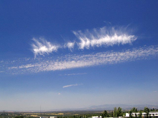 Cirrus vertebratus, parte superior de la imagen.