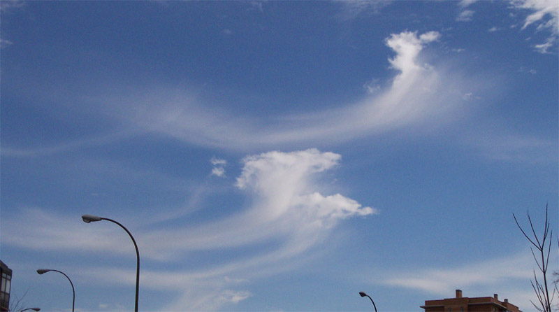 Cirrus vertebratus, parte superior de la imagen.