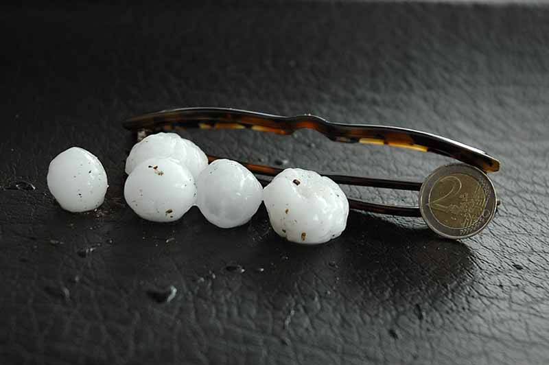 Granizos ca�dos en la Alcarria, Guadalajra, 06/07/04; comparados con el tama�a de unas gafas de sol.