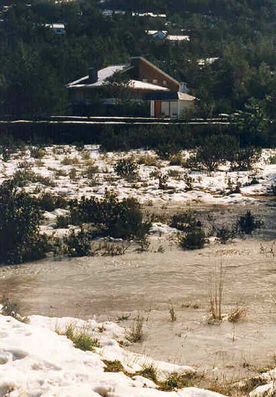 Arroyo con sus orillas congeladas y nieve helada, cercan�as del Pueblo de Navacerrada, Madrid 02/96.