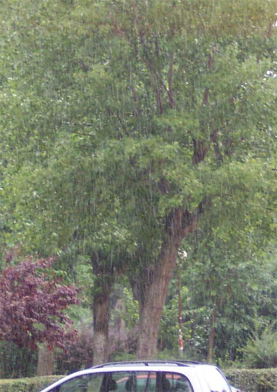 Lluvia el 9 de agosto de 2004 en la Ciudad Universitaria, Madrid.