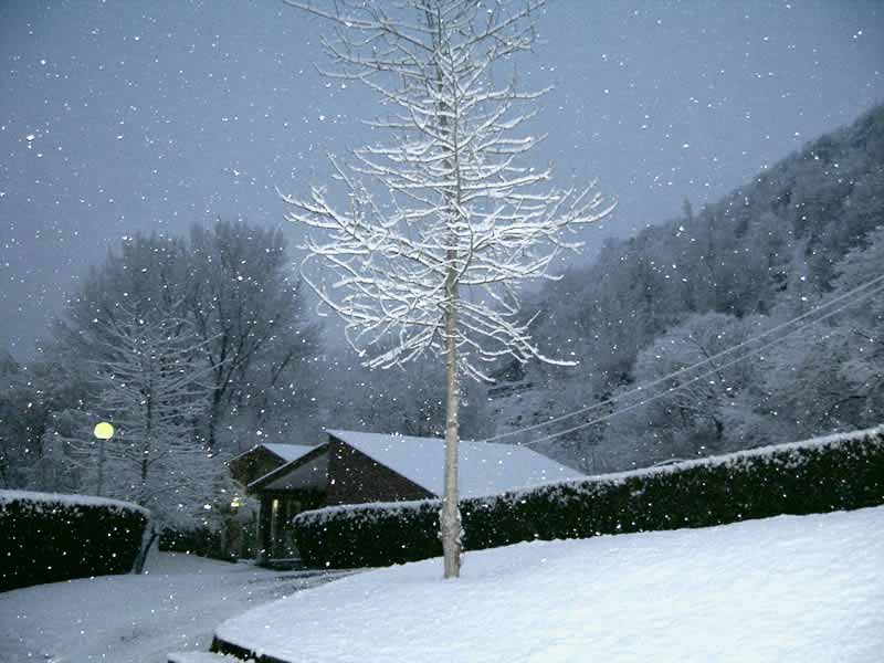 Nieve en Sort, L�rida, invierno de 2004.