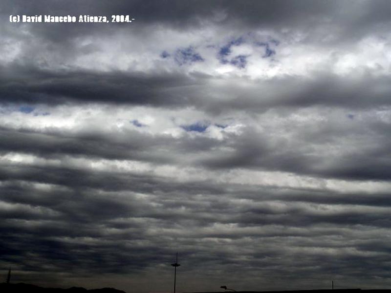 Estratoc�mulos undulatus, M�laga, 03/09/04