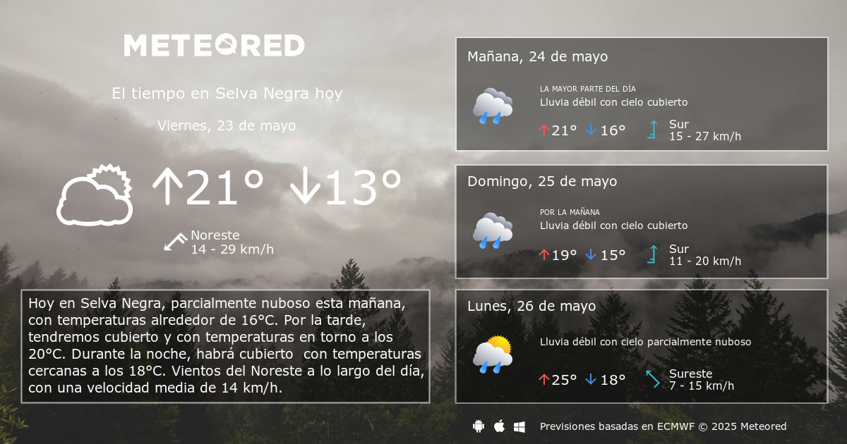 El Tiempo en Selva Negra. Predicción a 14 días - Meteored